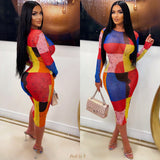 Load image into Gallery viewer, Tara mesh dress (Red multi)