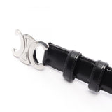 Load image into Gallery viewer, Celine Belt Triomphe 25 Silver Leather