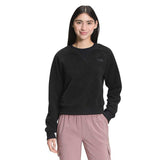 Load image into Gallery viewer, The North Face Womens Dunraven Crew Top