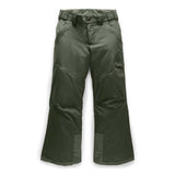 Load image into Gallery viewer, The North Face Girls Fresh Tracks Pant