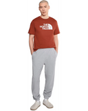 Load image into Gallery viewer, The North Face - Short Sleeve Evolution Half Dome Tee - Men's - Iron Clay