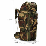 Load image into Gallery viewer, Tactical 65L Travel Backpack