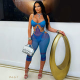 Load image into Gallery viewer, Tekki caged jumpsuit (Blue/purple)