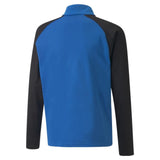 Load image into Gallery viewer, Puma Team Liga 25 Youth 1/4 Zip Training Top