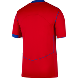Load image into Gallery viewer, NIKE PSG 2025/26 STADIUM THIRD MEN'S DRI-FIT TOTAL 90 SOCCER REPLICA JERSEY