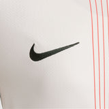Load image into Gallery viewer, Nike Chelsea FC 2025/26 Stadium Away Big Kids' Dri-FIT Soccer Replica Jersey