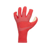 Load image into Gallery viewer, Nike Dynamic Fit Soccer Goalkeeper Gloves