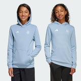 Load image into Gallery viewer, adidas Argentina Anniversary DNA Kids Hoodie