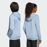 Load image into Gallery viewer, adidas Argentina Anniversary DNA Kids Hoodie