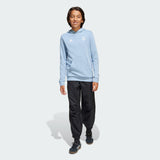 Load image into Gallery viewer, adidas Argentina Anniversary DNA Kids Hoodie