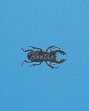 Load image into Gallery viewer, BEETLE 5'5 Soft Top Surfboard - Blue/Green