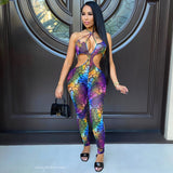 Load image into Gallery viewer, Serra mesh jumpsuit (Purple multi)