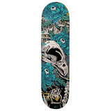 Load image into Gallery viewer, Birdhouse Skateboard Deck Tony Hawk Tillbrook 8.25" x 31.5"