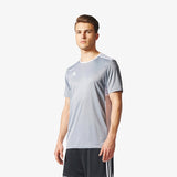 Load image into Gallery viewer, Entrada 18 Training Jersey Silver Men's