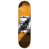 Load image into Gallery viewer, Deathwish Skateboard Deck Pedro Delfino Torn 8.25" x 31.5"