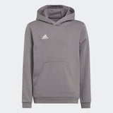 Load image into Gallery viewer, ADIDAS ENTRADA 22 SWEAT HOODIE YOUTH