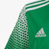 Load image into Gallery viewer, Regista 20 Youth Jersey