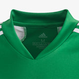 Load image into Gallery viewer, Regista 20 Youth Jersey