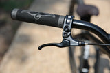 Load image into Gallery viewer, Fairdale Hareraiser Dirt Jump Bike