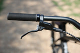 Load image into Gallery viewer, Fairdale Hareraiser FX Dirt Jump Bike