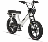 Load image into Gallery viewer, Haro Skwad 1 Electric Bike