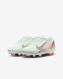 Load image into Gallery viewer, Nike Jr. Vapor 16 Club Mercurial Dream Speed MG Soccer Cleats