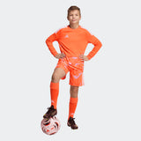 Load image into Gallery viewer, adidas Youth Tiro 26 Competition Goalkeeper Jersey Long Sleeve