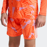 Load image into Gallery viewer, adidas Youth Tiro 26 Competition Goalkeeper Jersey Long Sleeve