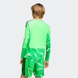 Load image into Gallery viewer, adidas Youth Tiro 26 Competition Goalkeeper Jersey Long Sleeve