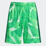 Load image into Gallery viewer, ADIDAS TIRO 26 YOUTH SOCCER SHORT