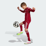 Load image into Gallery viewer, adidas Liverpool FC 25/26 Long Sleeve Home Jersey Kids