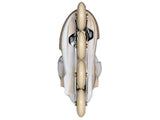 Load image into Gallery viewer, Powerslide Next Mery Munoz Pro 80 Skates