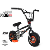Load image into Gallery viewer, Pro Series P30 Black