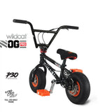 Load image into Gallery viewer, Pro Series P30 Black