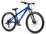 Load image into Gallery viewer, Radio Fiend Dirt Jump Bike