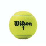 Load image into Gallery viewer, Wilson Championship Extra Duty Tennis Ball Single Can