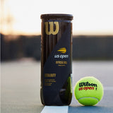 Load image into Gallery viewer, Wilson US Open Extra Duty Tennis Ball Case 24 Cans