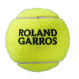 Load image into Gallery viewer, Wilson Roland Garros Har Tru Clay Tennis Ball Case 24 Cans