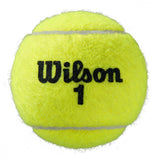 Load image into Gallery viewer, Wilson Roland Garros Har Tru Clay Tennis Ball Case 24 Cans