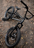Load image into Gallery viewer, We The People Swampmaster Bike