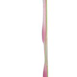 Load image into Gallery viewer, Heroin Skateboard Deck Wingy Thingee (Assorted) 15.25" x 31"