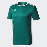 Load image into Gallery viewer, Entrada 18 Jersey - Green/White