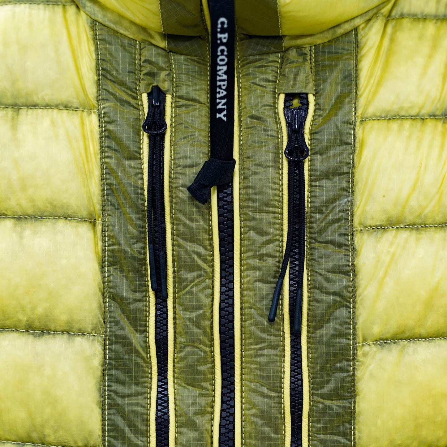[C.P. Company] DD-Shell Goggle Hooded Down Jacket in Green Sheen