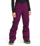 Load image into Gallery viewer, The North Face - Lostrail Futurelight Pant - Pamplona Purple