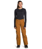 Load image into Gallery viewer, The North Face - Lostrail Futurelight Pant - Pamplona Purple