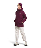 Load image into Gallery viewer, The North Face - Carto Triclimate Jacket - Women's - Boysenberry