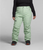 Load image into Gallery viewer, The North Face - Freedom Insulated Pant - Women's Plus - Tnf Black