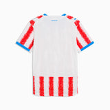 Load image into Gallery viewer, Puma Paraguay 26 Authentic Home Men's Soccer Jersey