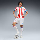 Load image into Gallery viewer, Puma Paraguay 26 Authentic Home Men's Soccer Jersey