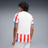 Load image into Gallery viewer, Puma Paraguay 26 Authentic Home Men's Soccer Jersey